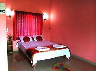 Kingfisher Jungle Stay, Dandeli 2